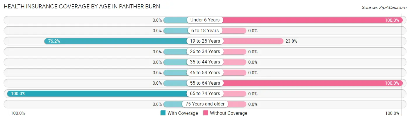 Health Insurance Coverage by Age in Panther Burn