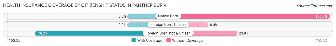 Health Insurance Coverage by Citizenship Status in Panther Burn
