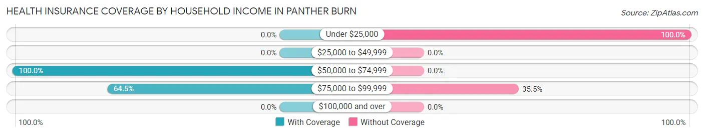 Health Insurance Coverage by Household Income in Panther Burn