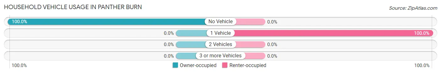 Household Vehicle Usage in Panther Burn