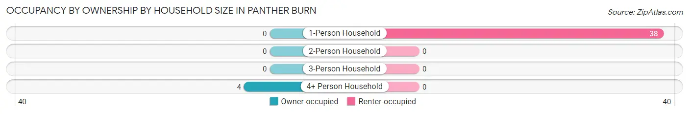 Occupancy by Ownership by Household Size in Panther Burn