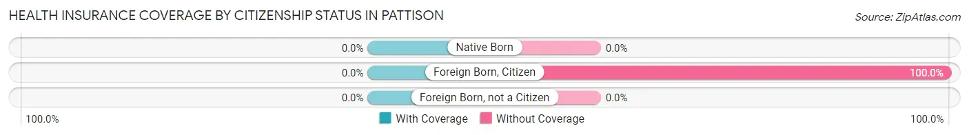 Health Insurance Coverage by Citizenship Status in Pattison