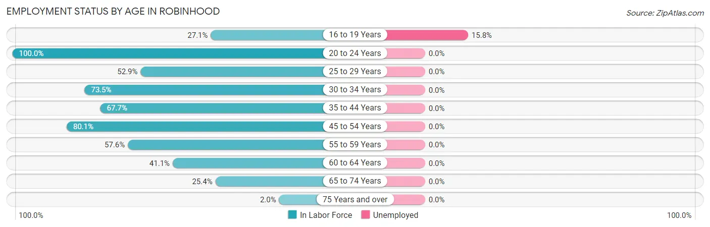 Employment Status by Age in Robinhood