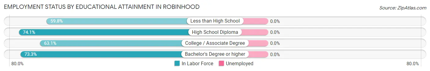 Employment Status by Educational Attainment in Robinhood