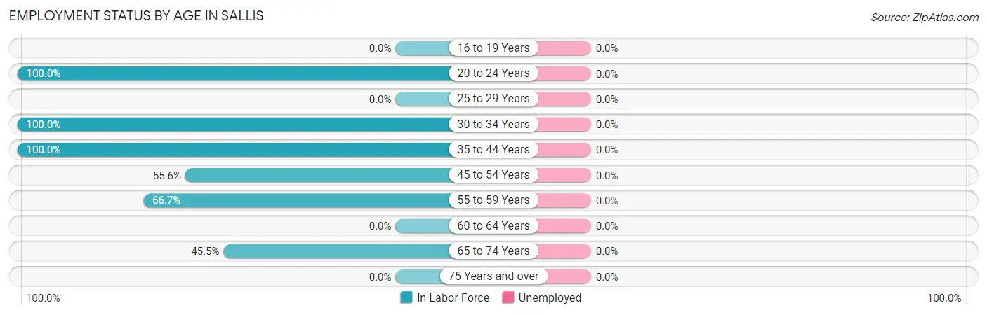 Employment Status by Age in Sallis