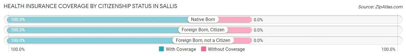 Health Insurance Coverage by Citizenship Status in Sallis