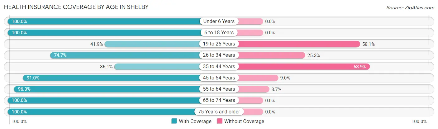 Health Insurance Coverage by Age in Shelby