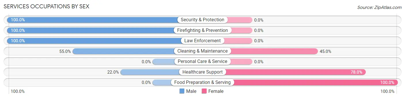 Services Occupations by Sex in Shelby