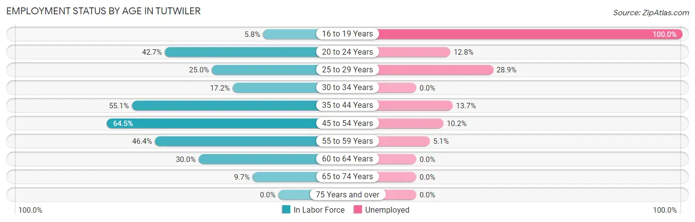 Employment Status by Age in Tutwiler
