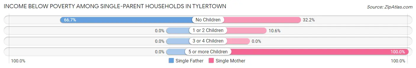 Income Below Poverty Among Single-Parent Households in Tylertown