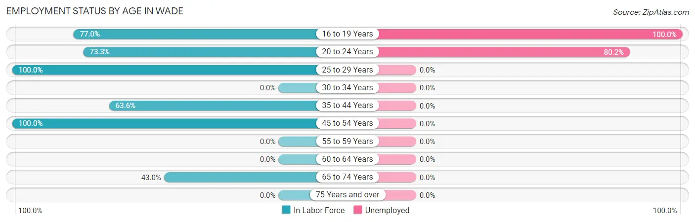Employment Status by Age in Wade