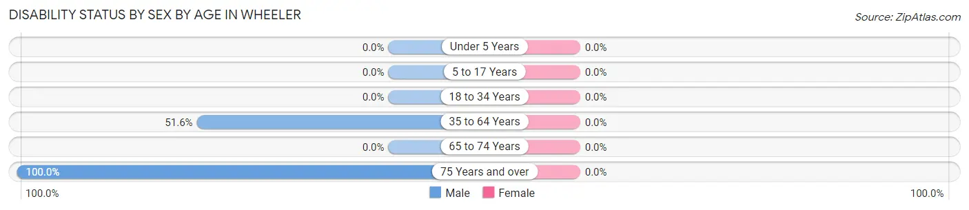 Disability Status by Sex by Age in Wheeler