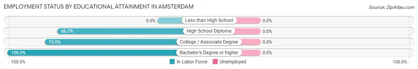 Employment Status by Educational Attainment in Amsterdam