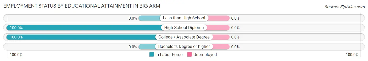 Employment Status by Educational Attainment in Big Arm