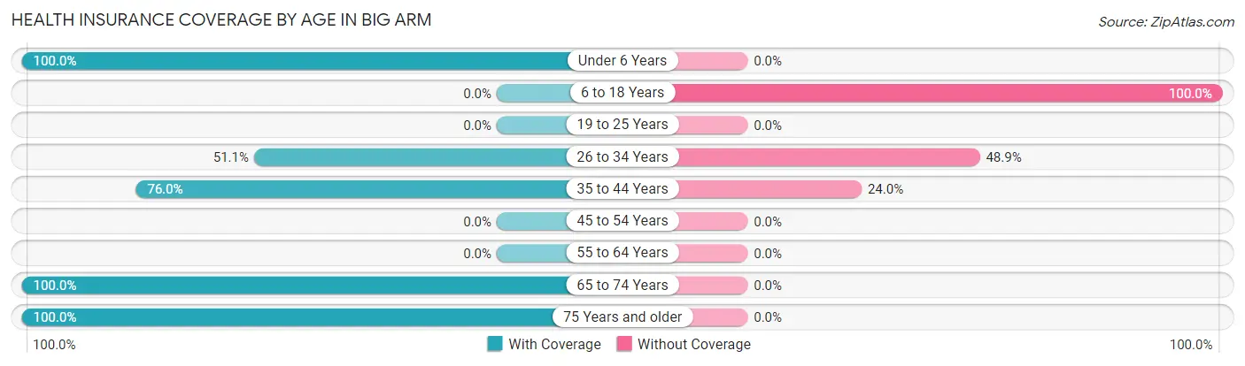 Health Insurance Coverage by Age in Big Arm