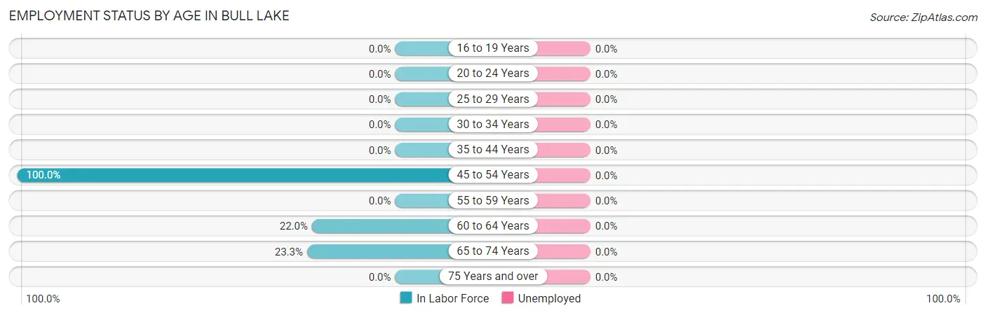 Employment Status by Age in Bull Lake
