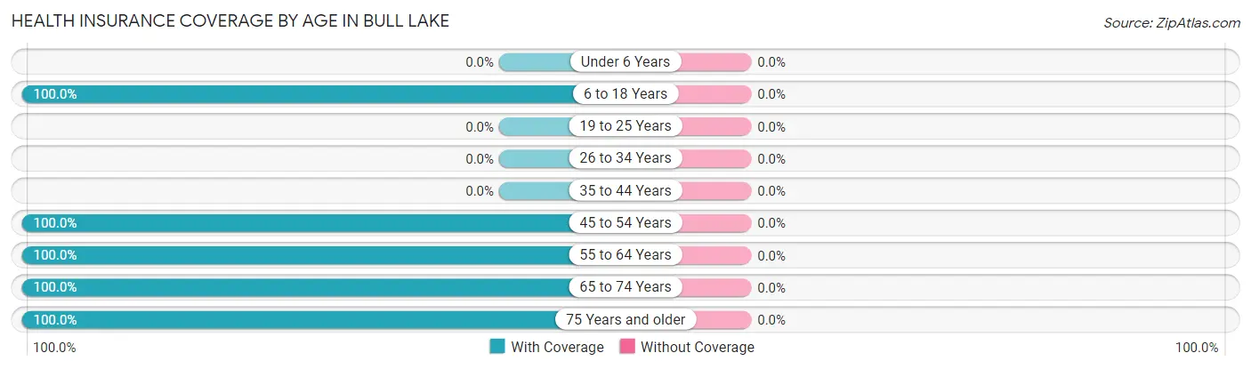 Health Insurance Coverage by Age in Bull Lake