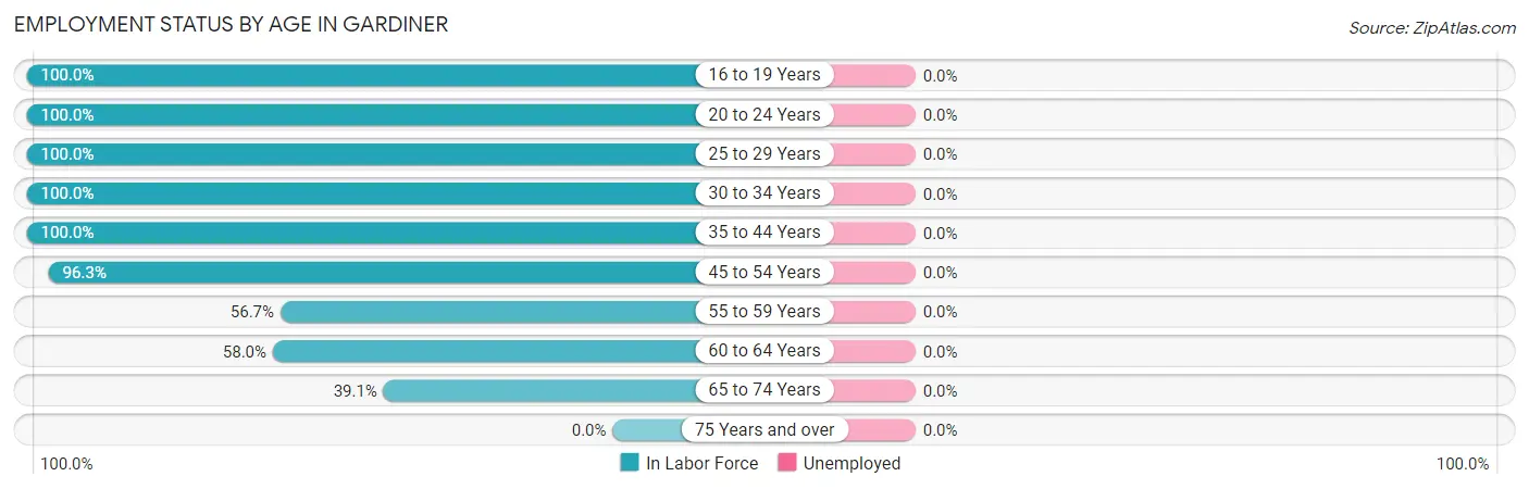 Employment Status by Age in Gardiner