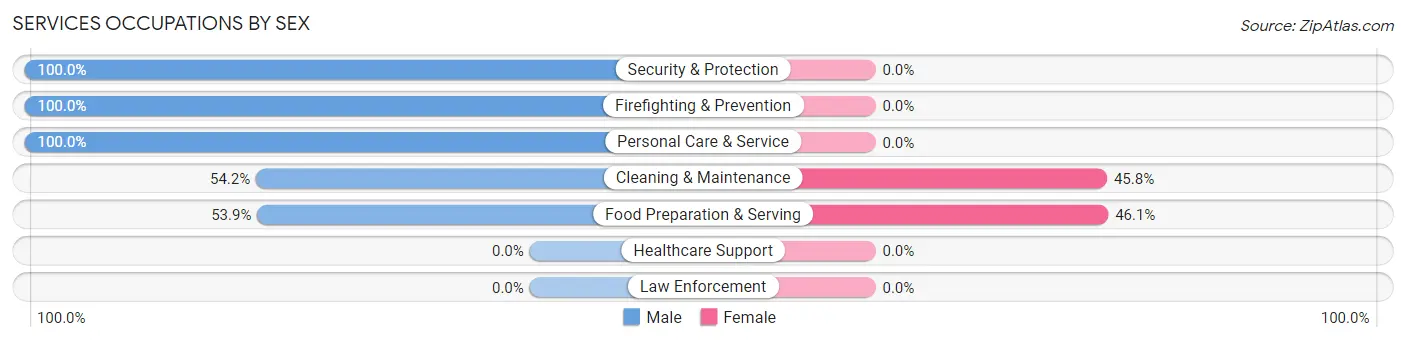 Services Occupations by Sex in Gardiner