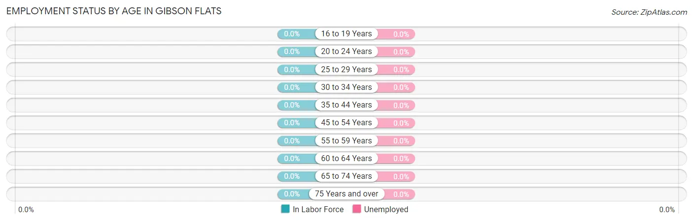 Employment Status by Age in Gibson Flats