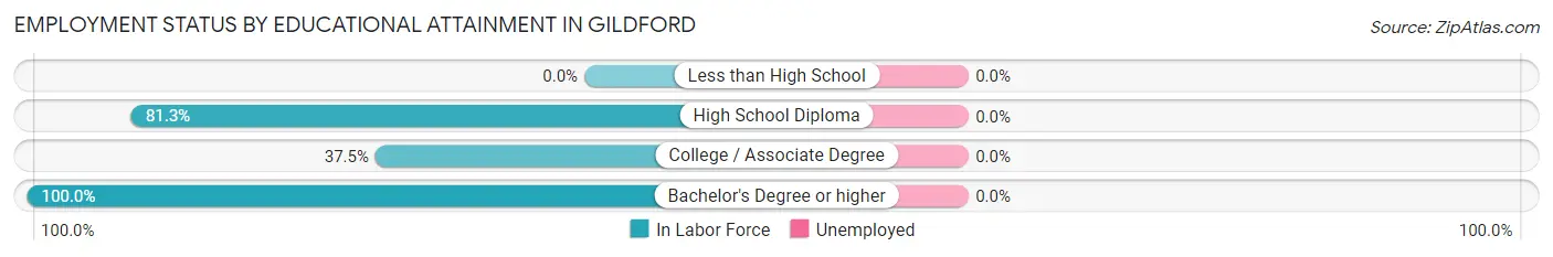 Employment Status by Educational Attainment in Gildford