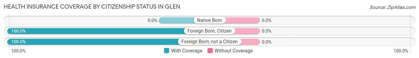 Health Insurance Coverage by Citizenship Status in Glen