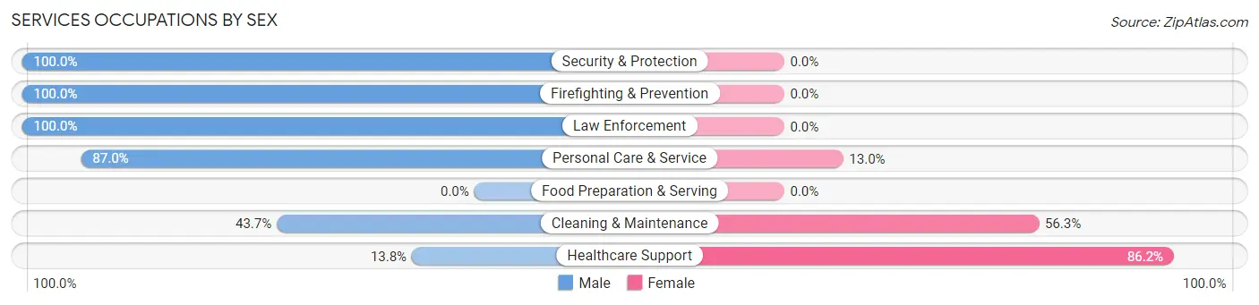 Services Occupations by Sex in Helena Valley Northeast