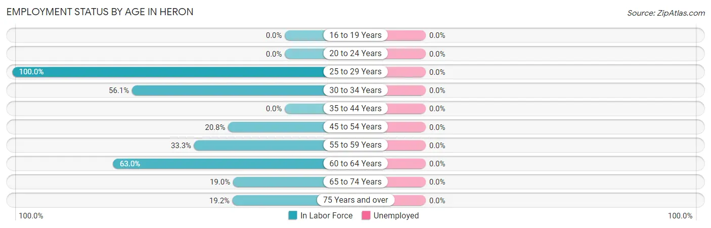 Employment Status by Age in Heron