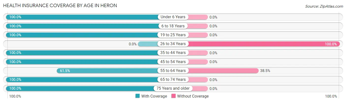 Health Insurance Coverage by Age in Heron