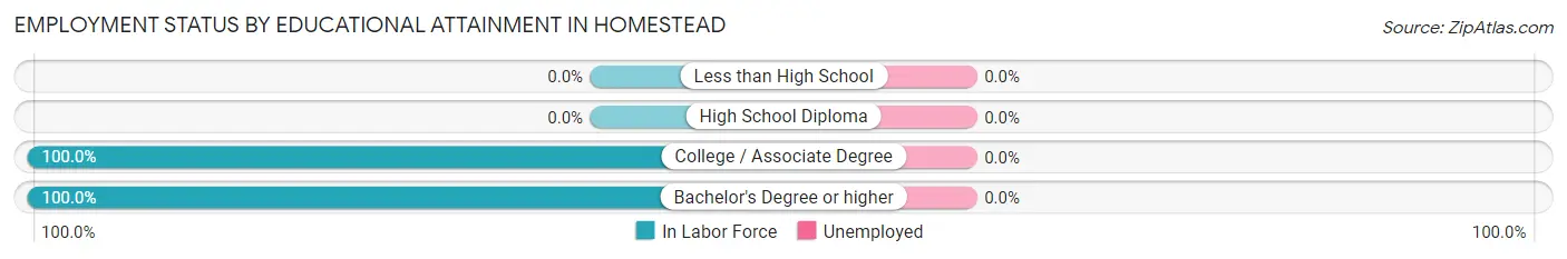 Employment Status by Educational Attainment in Homestead
