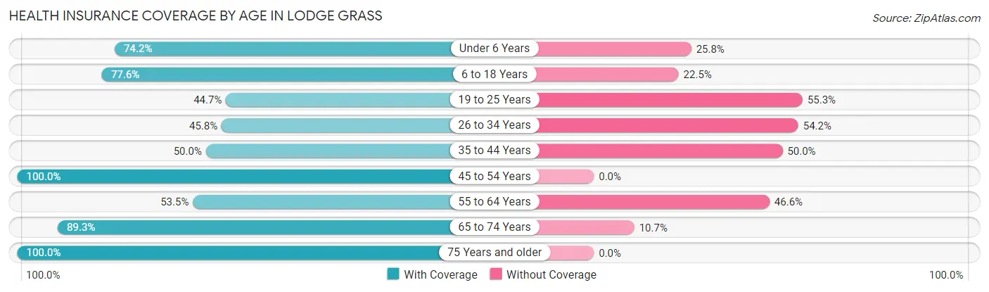 Health Insurance Coverage by Age in Lodge Grass