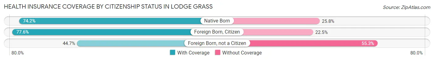 Health Insurance Coverage by Citizenship Status in Lodge Grass
