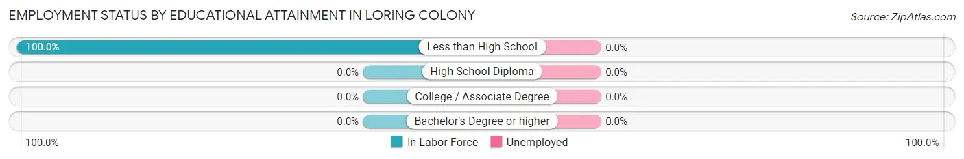 Employment Status by Educational Attainment in Loring Colony