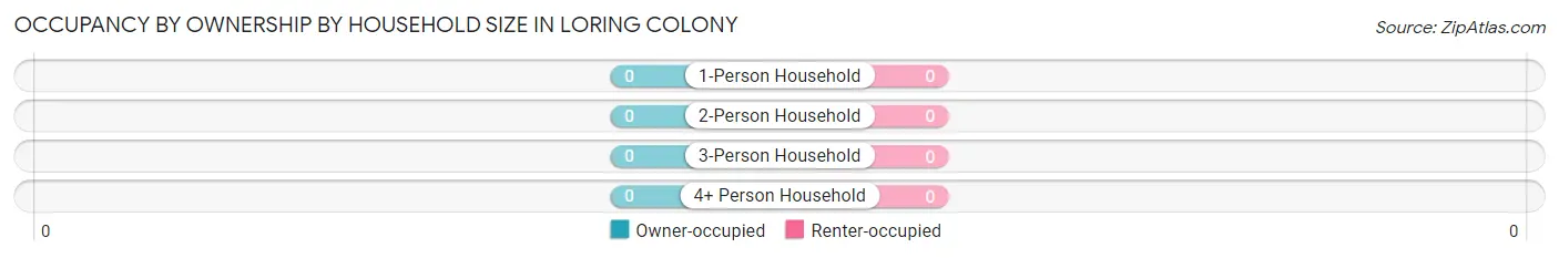 Occupancy by Ownership by Household Size in Loring Colony