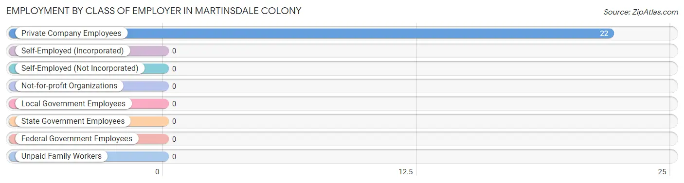 Employment by Class of Employer in Martinsdale Colony