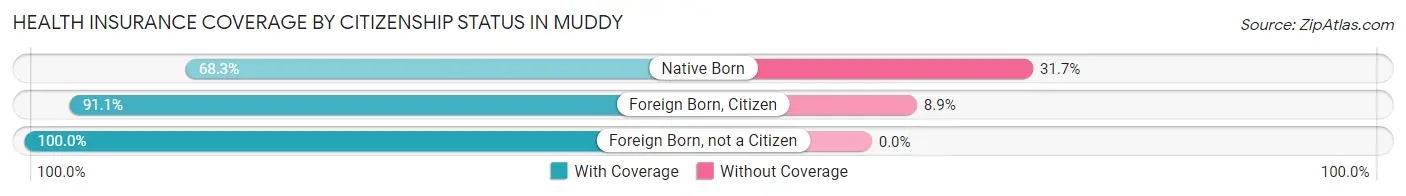 Health Insurance Coverage by Citizenship Status in Muddy