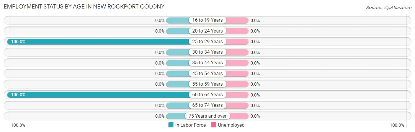 Employment Status by Age in New Rockport Colony