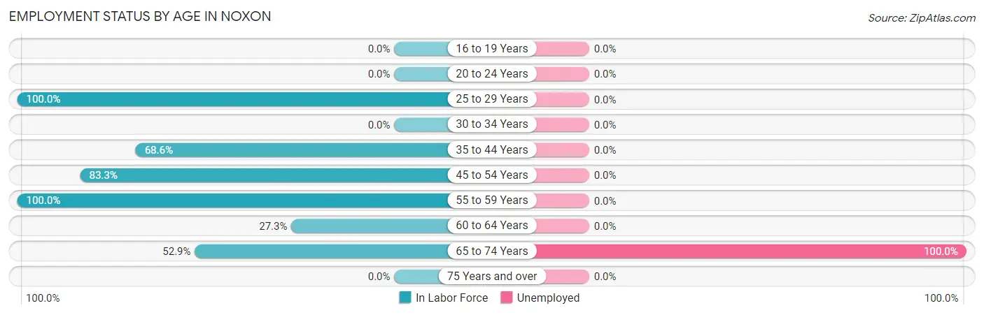 Employment Status by Age in Noxon
