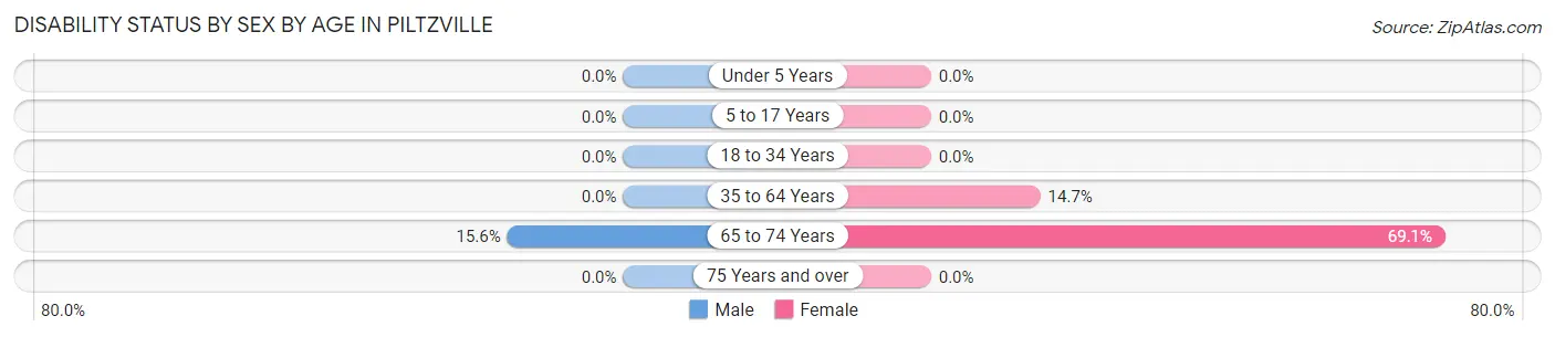 Disability Status by Sex by Age in Piltzville