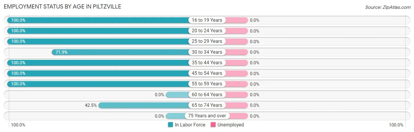 Employment Status by Age in Piltzville