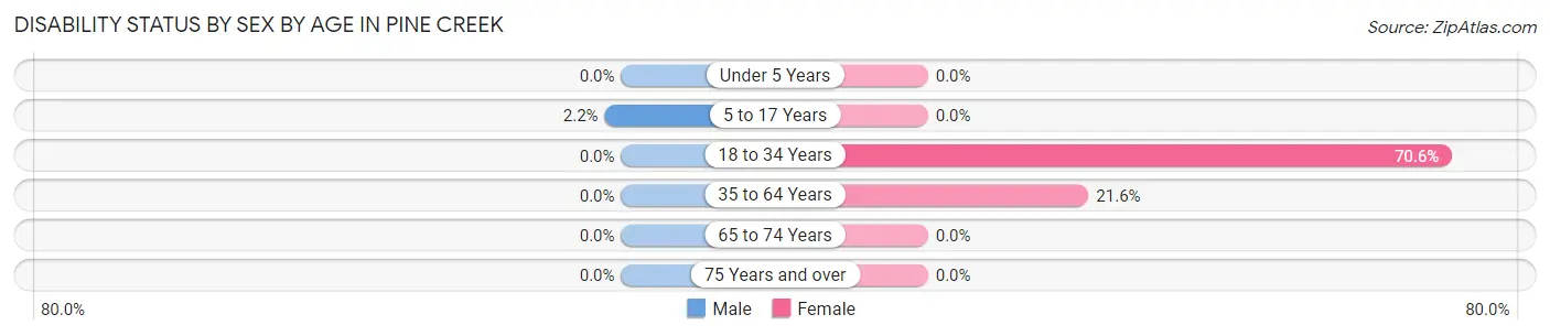 Disability Status by Sex by Age in Pine Creek
