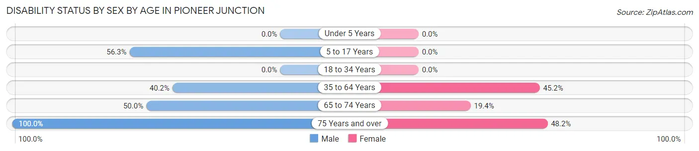 Disability Status by Sex by Age in Pioneer Junction