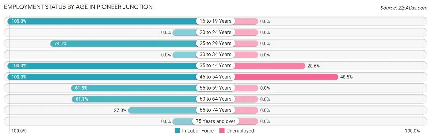 Employment Status by Age in Pioneer Junction