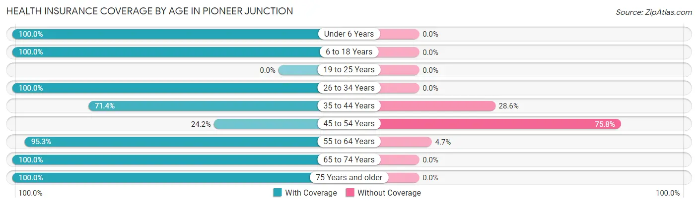 Health Insurance Coverage by Age in Pioneer Junction
