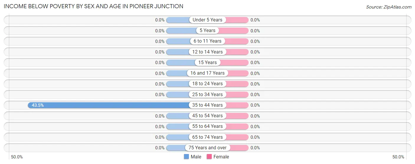Income Below Poverty by Sex and Age in Pioneer Junction