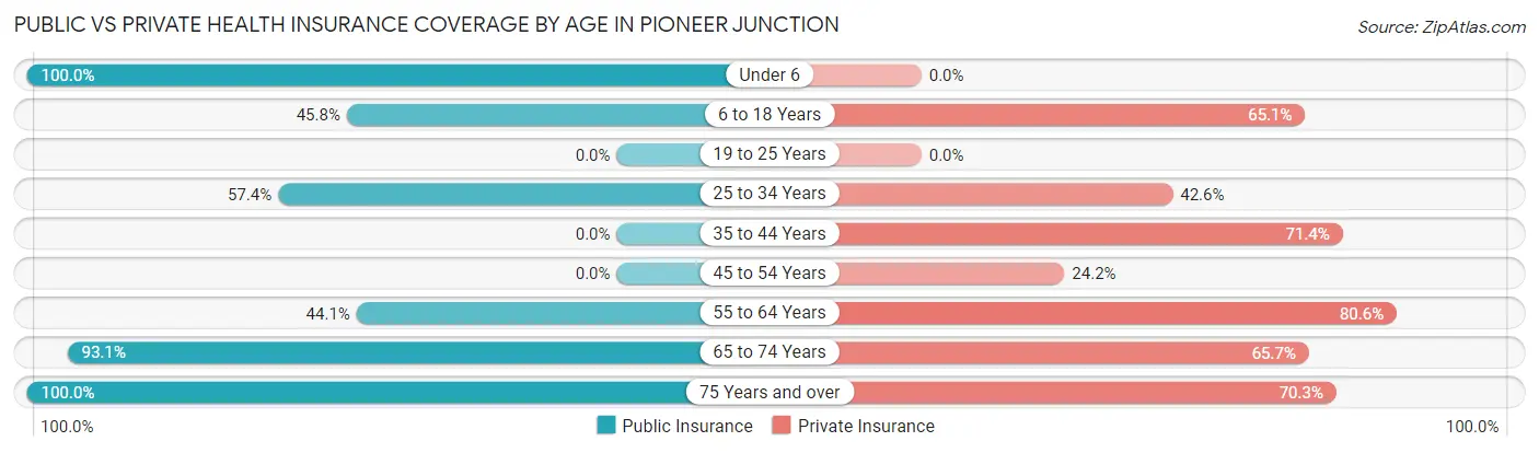 Public vs Private Health Insurance Coverage by Age in Pioneer Junction