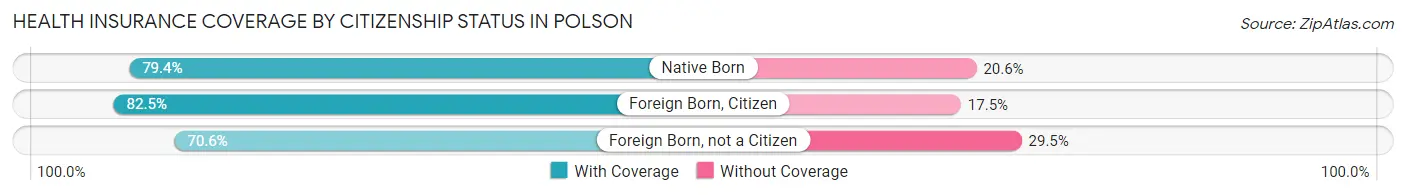 Health Insurance Coverage by Citizenship Status in Polson