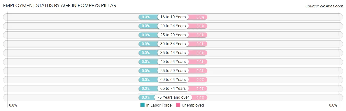 Employment Status by Age in Pompeys Pillar