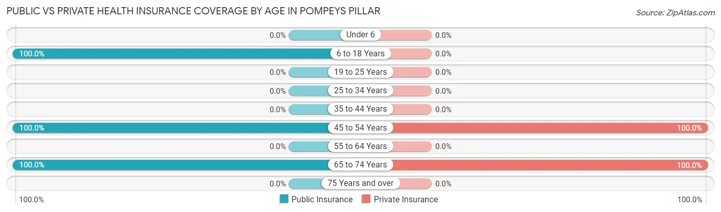 Public vs Private Health Insurance Coverage by Age in Pompeys Pillar