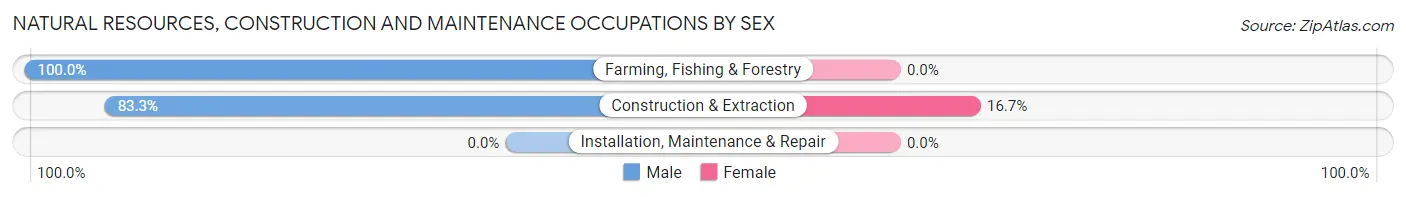 Natural Resources, Construction and Maintenance Occupations by Sex in Pryor